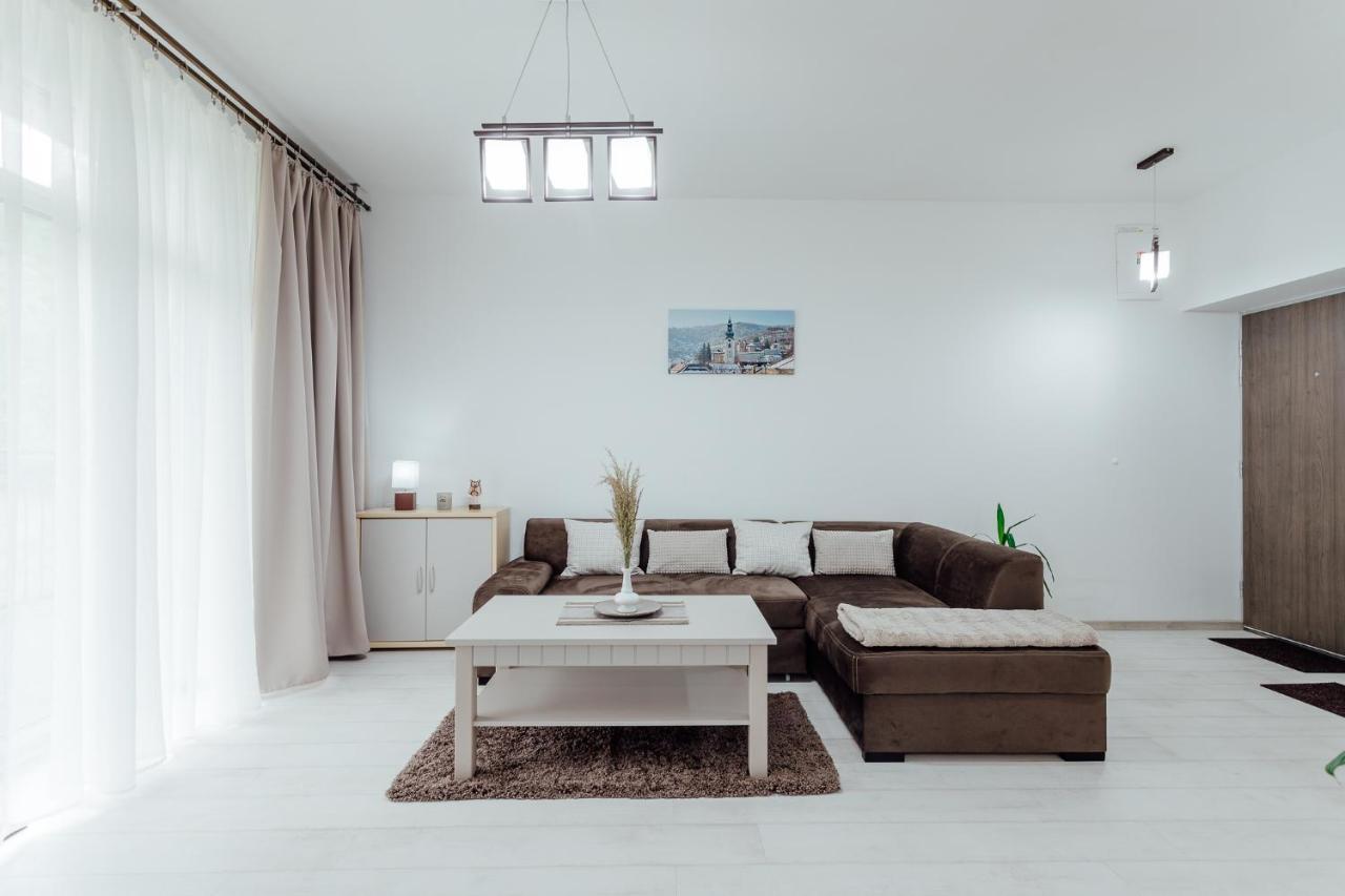 Apartman Vo Vile Kammergraf Banska Stiavnica Exterior photo