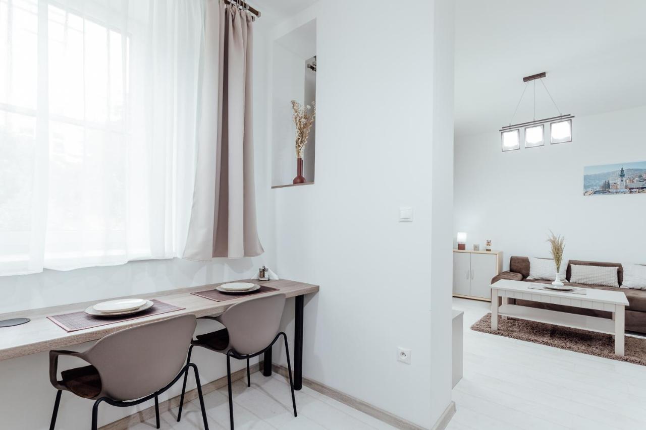 Apartman Vo Vile Kammergraf Banska Stiavnica Exterior photo