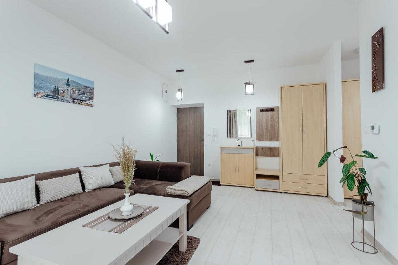 Apartman Vo Vile Kammergraf Banska Stiavnica Exterior photo